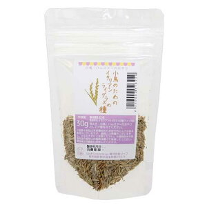 ̂߂̃C^ACOX̎@30g@@nX^[@֓