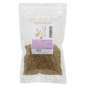 ̂߂̃I[`[hOX̎@30g@@nX^[@֓