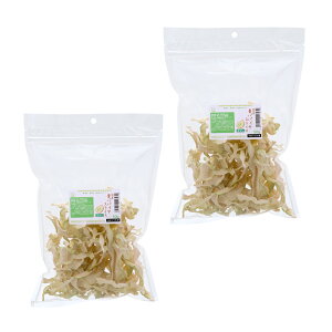 Y@ȂppC@XCX@100gi50g×2܃Zbgj@p̂@Y@YF@@bg@ыPA@֓