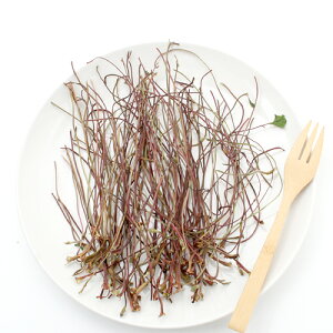 Y@Ă̂@̌s@20g@̂@Y@F@؁@@֓