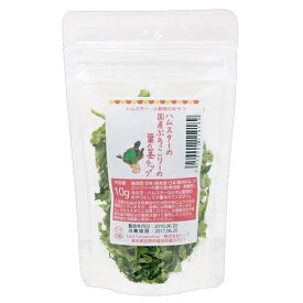ハムスター　おやつ　ハムスターの国産ブロッコリーの葉の茎　10g　プチサイズ　国産　無添加　無着色　関東当日便
