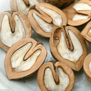 Y@@݁@50g@ibc@̂@@nX^[@Y@F@֓