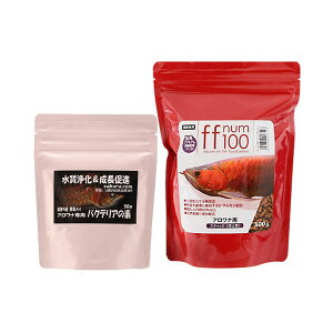 ff num100アロワナ用スティック(浮上性)300g+アロワナ専用バクテリアの素50gセット 関東当日便