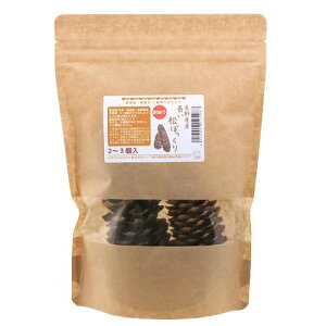 Y@󂠂蒷ڂ@2`3@̂@pCR[@Y@Y@F@֓