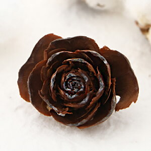 V_[[Yiq}̎j@~jTCY@1@NX}X@؂̎@֓