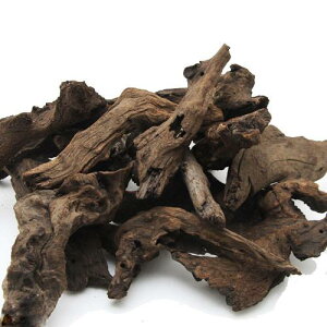 `󂨔C@ύݍς݁@󗬖؁@MTCYi20`25cmj@1{@CAEgfށ@֓