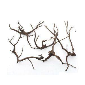 `󂨔C@ύݍς݁@ɏ㗬؁@MTCYi20`30cmj5{@ANAE@eE@CAEgfށ@֓