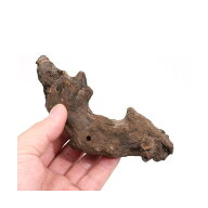 形状お任せ　煮込み済み　塊状流木　SSサイズ（約10〜15cm）　1本　アクアリウム　レイアウト素材　流木…