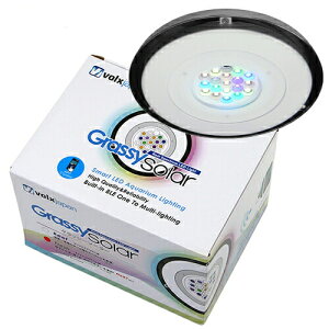 AEgbgi@{NXWp@Grassy@Solar@Fresh^tbV@󂠂@@Cg@Ɩ@֓