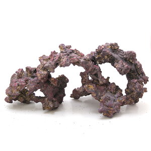 J~n^@JuV[@CtbN@VFCvX@9D0kg@lHCubN@֓