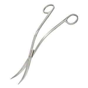 AN@XeX@nT~@25cm@g^Cv@@g~O@@֓