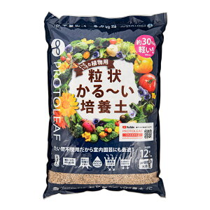 |{y@vg[t@󂩂`|{y@12L@RoG΍@֓