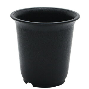 A@v@2D5×10@@Aւ@֓