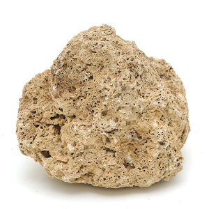 J~n^@z΁@@Ȃ@14`18cm@eE@p_E@@RP@֓