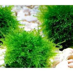 ij琬ρ@ăEB[X@{[itji_ji3j