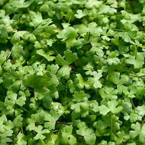 ijI[XgA@m`hitji_ji3pbNj