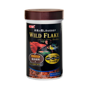 GEX@Cht[N@voCI@52g@֓