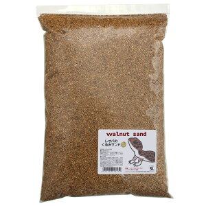 Ip̂݃Th@3L@VR@L@~ށ@ށ@ꏰ@֓