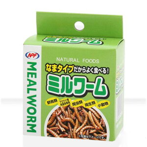 NPF ミルワーム(缶入り) 35g×2缶 両生類・爬虫類 ハリネズミ フード 餌 エサ 缶詰 ナチュラルペットフーズ 関東当日便