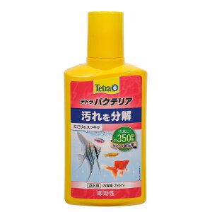 eg@oNeA@250ml@܁@ꕪ@ۑ\@֓