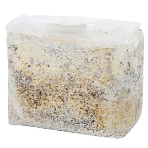 ێubN@n@IIq^PE@GRubN@3D6L@Lt@e