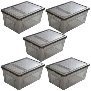 ঒ރP[W@u[h{bNX@LTCY@ubN@32×22×15cm×5@֓