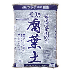 y@}bg@Inty@40L@Y@ll2_@֓