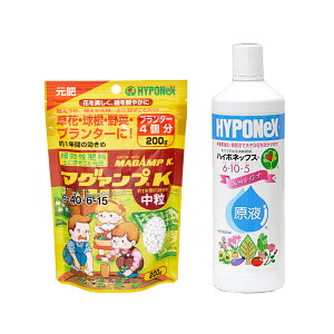 nC|lbNX@}O@vKt`NewCVI`@AtpEAւpZbg@֓