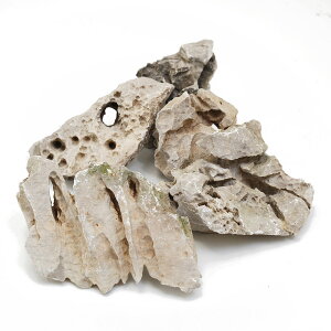 形状お任せ 白風石 サイズミックス 5kg 45cm水槽向け アクアリウム レイアウト素材 関東当日便