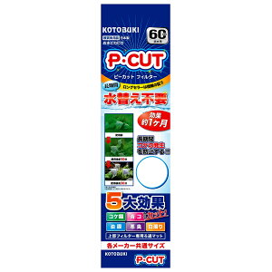 コトブキ工芸 P・カット フィルター60 コケ防止 1か月 上部フィルター 交換用マット 関東当日便