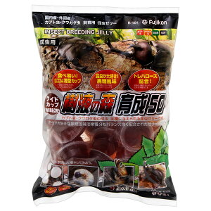 tWR@[[@ChJbv@t̐X@琬@50@16g×50@֓