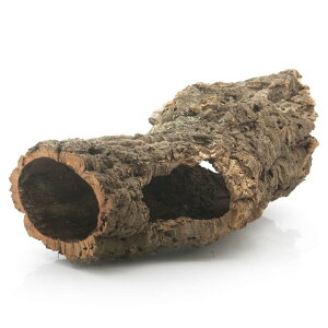 `󂨔C@^RN@LTCY@50cm@@GAvc@A@঒ށ@֓