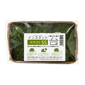 CX^gہ@}SPSS@Oa13cm×8cm@hC^Cv@SP@֓