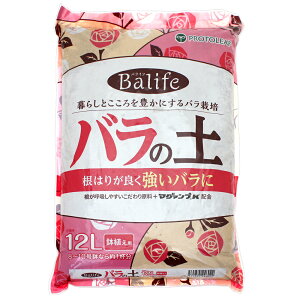 |{y@vg[t@oCt@o̓y@12L@͂肪ǂoɁ@ll3_@֓