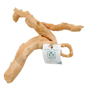 JUN@؁@zCgEbh@15`25cm@֓