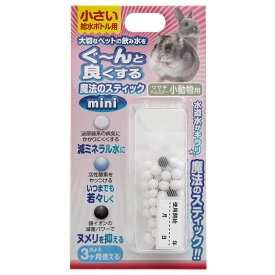 B−blast　魔法のスティック　小動物用　mini　関東当日便