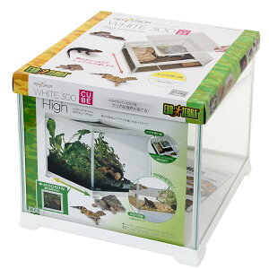 ঒ރP[W@GEX@veA@zCg@300L[u@High@ll2_@֓