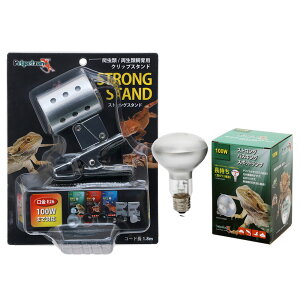 100W@oXLOCgZbg@ybgybg][@XgOX^h{oXLOX|bgv@XgO@֓