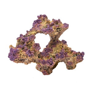 [XC@ZEST@vJTS@L|2@X|bgbh@֓