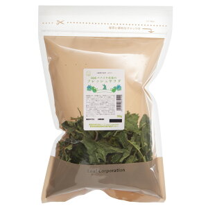 Y@ppCt̃tbVT_~bNX@30g@؁@Y@F@֓