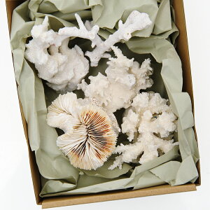 TSELk@MTCYi5Zbgj@i`󂨔Cj@֓