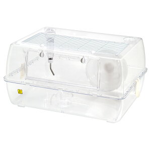 OW@[~B60@OXy[X@NA[i62×45×31D5cmj@nX^[@t@V[bg@P[W@֓