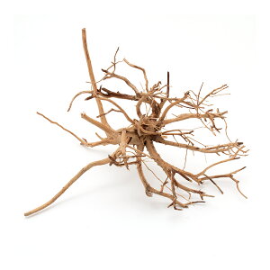 J~n^@`󂨔C@xgiY@}؁@L@20`35cm@ANAE@@֓