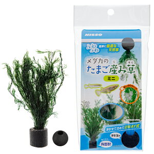 jb\[@_Ĵ܂Yݑ@~j@֓