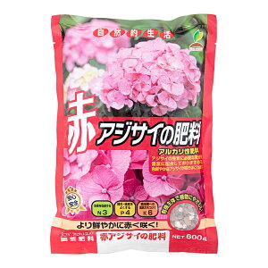 JOYAOX@ԃAWTC̔엿@600g@֓