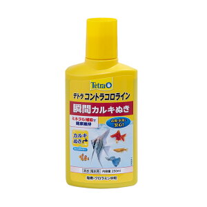 eg@RgRC@250ml@JL@WECp@֓