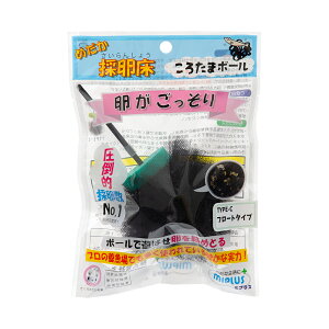 ~vX@낽܃{[@߂̗@TYPE|C@1P@t[g^Cv@֓