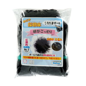 ~vX@낽܃{[@߂̗@TYPE|C@10P@t[g^Cv@֓