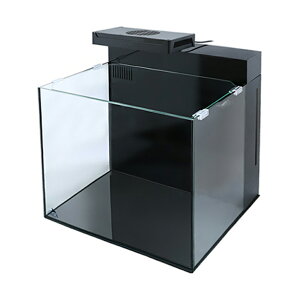 Zbg@SHELL2@VF@tbV@I[CVXe@W@@Mы@ll1_@֓