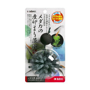 Xh[@_J̎Y܂葔ij@J{o@֓